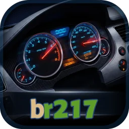 br217